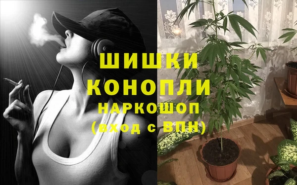 гидропоника Михайлов