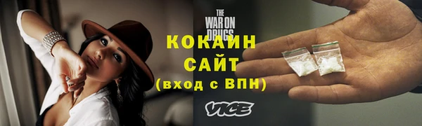 индика Михайловка
