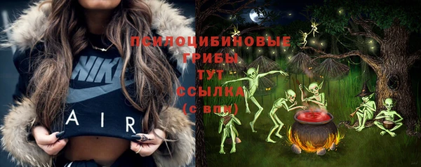 индика Михайловка