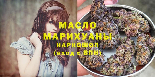 индика Михайловка