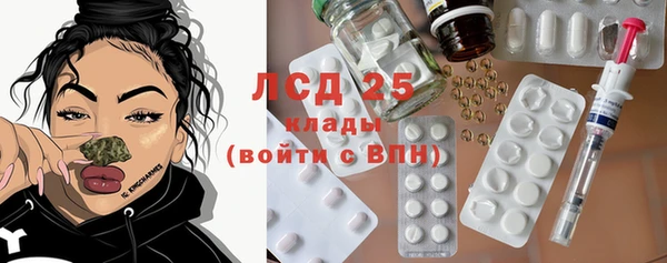 индика Михайловка