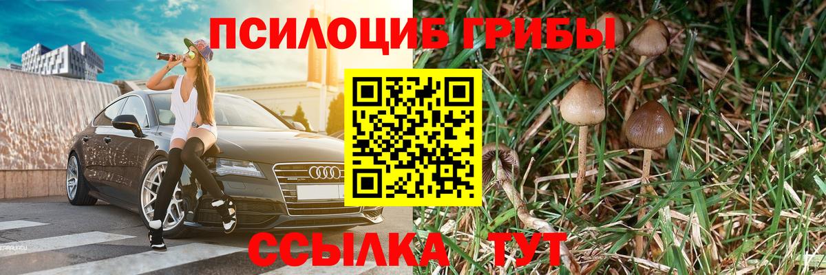 сколько стоит  Вход с VPN  Рязань  Псилоцибиновые грибы ЛСД 